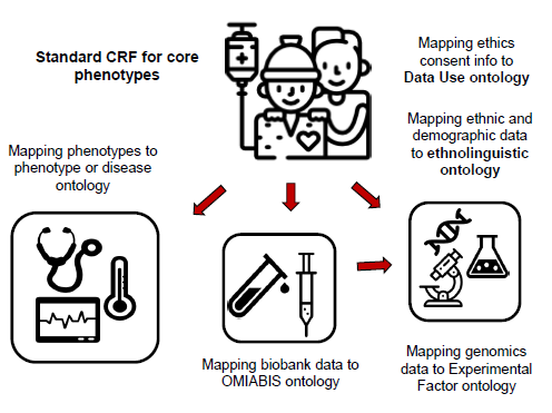 ontologies