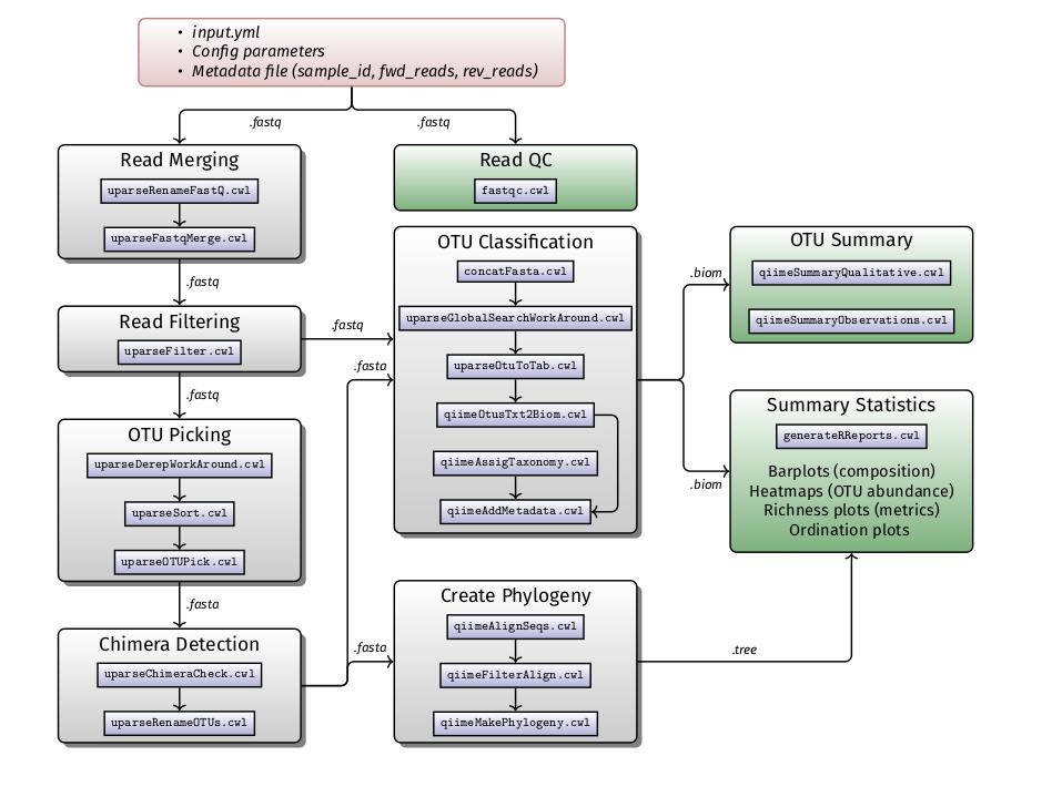 16S rDNA analysis workflow